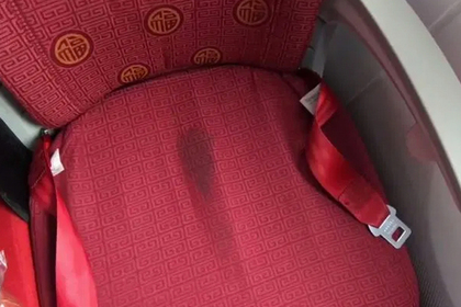 Покрытый грязью салон самолета премиальной авиакомпании разозлил пассажира