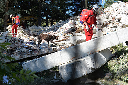 Число жертв землетрясения в Италии возросло до 250