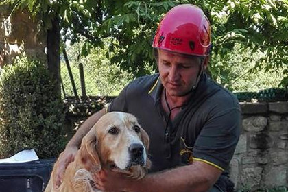 В Италии на девятый день после землетрясения спасли из-под руин собаку