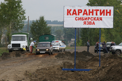 В Киргизии зафиксирована вспышка сибирской язвы