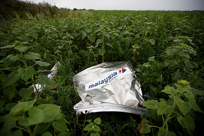 Malaysia Airlines помирилась с потерявшей детей в катастрофе над Донбассом парой